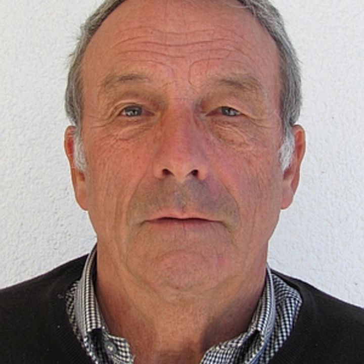 Werner Gerber